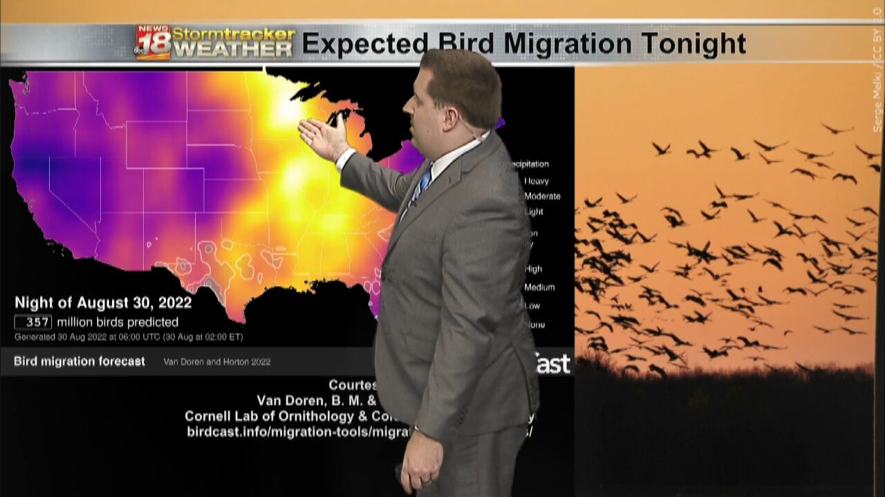 Image shows meteorologist pointing at a BirdCast forecast map in a regular weather forecast.