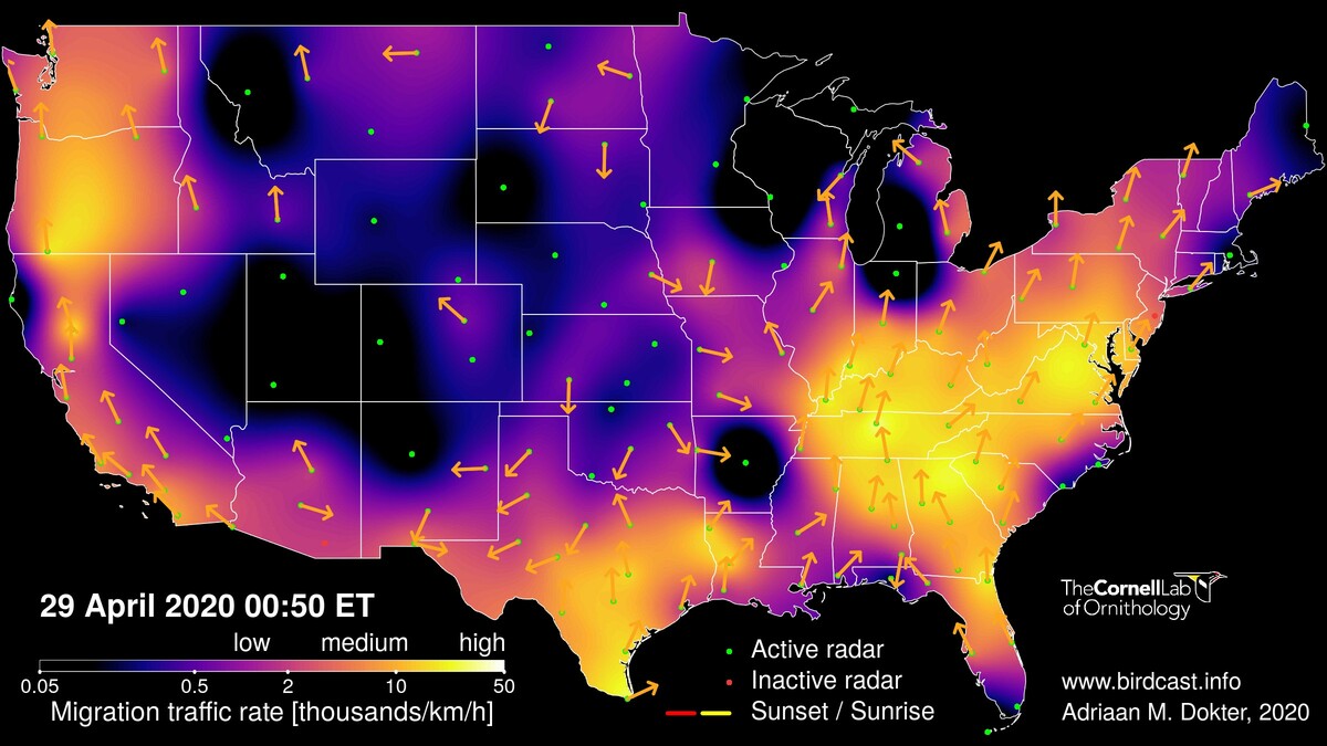 Live migration map for 29 April 2020