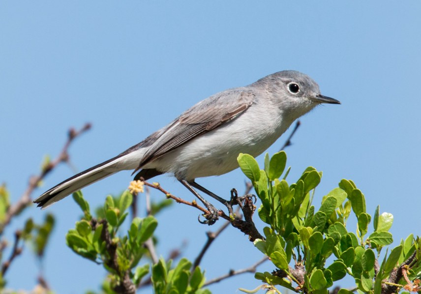 Screen Shot 2016-03-25 at 5.47.15 PM