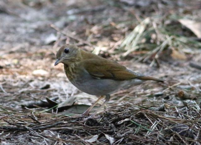 Screen Shot 2016-09-09 at 12.05.52 PM