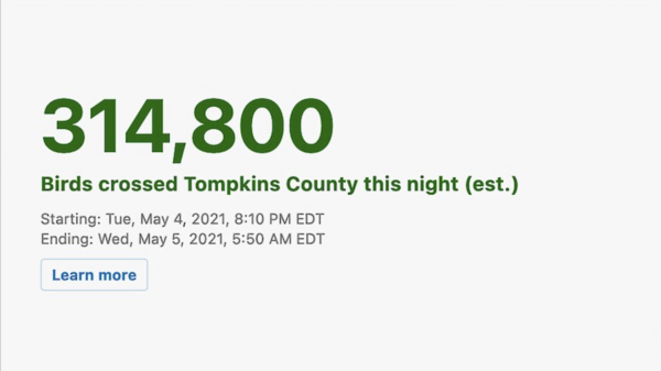 This image has an empty alt attribute; its file name is Screen-Shot-2022-04-05-at-5.10.15-AM-600x337.png