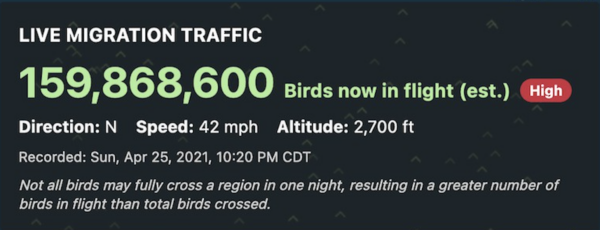 This image has an empty alt attribute; its file name is Screen-Shot-2022-04-05-at-5.10.36-AM-600x230.png