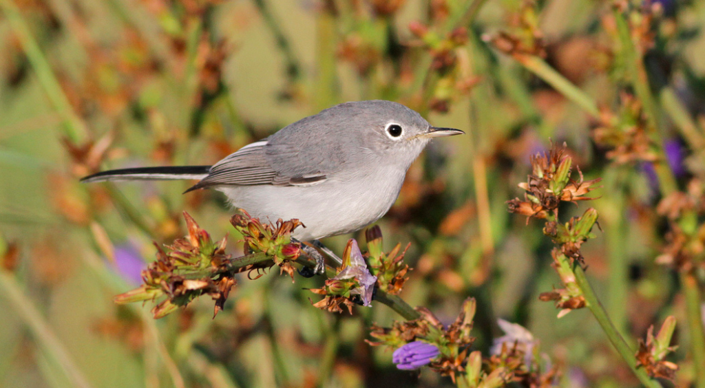 Screenshot 2015-08-21 08.59.21