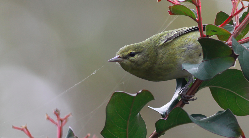 Screenshot 2015-08-21 09.07.54