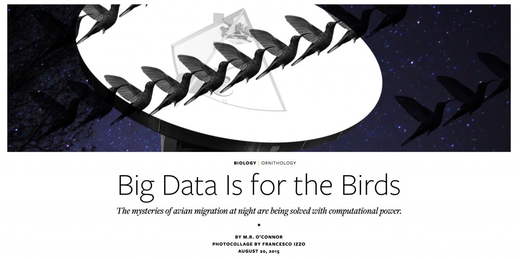 Screenshot 2015-08-25 13.59.23 EDIT