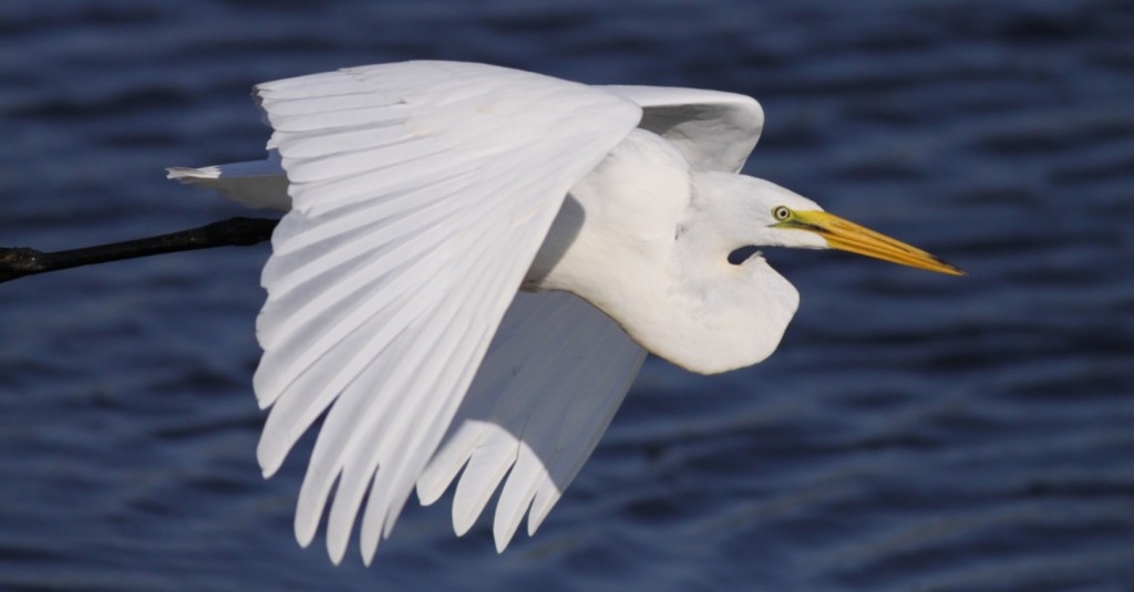 Screenshot 2015-09-04 13.36.14