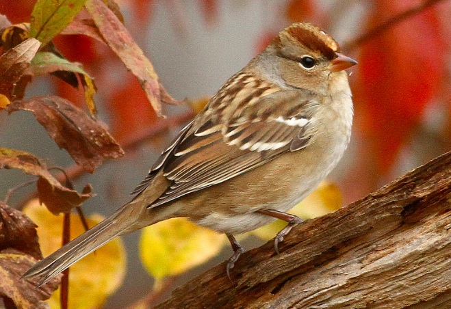 Screenshot 2015-09-18 13.10.09