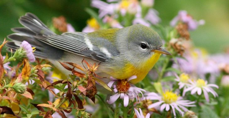 Screenshot 2015-09-18 13.11.25