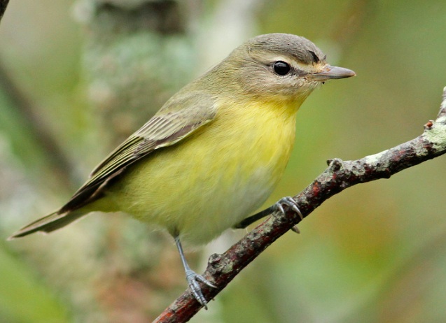 Screenshot 2015-09-18 13.15.29