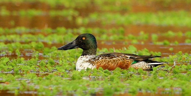 Screenshot 2015-09-18 13.21.51