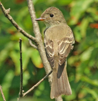 Screenshot 2015-09-18 13.23.45