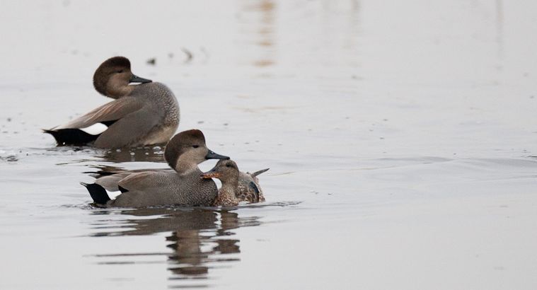 Screenshot 2015-10-02 14.18.41