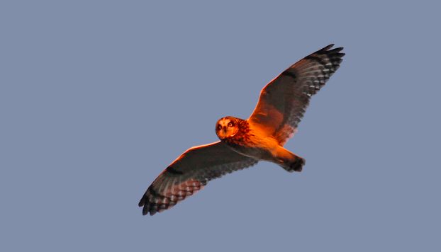 Screenshot 2015-10-16 13.34.42