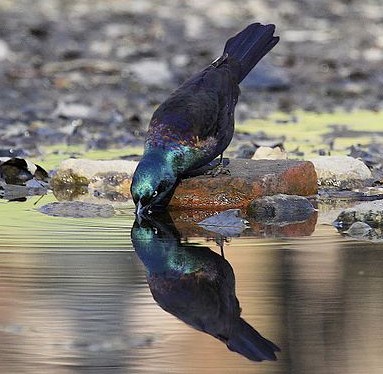 Screenshot 2015-10-23 08.49.50