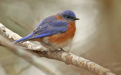 Screenshot 2015-11-06 15.16.17