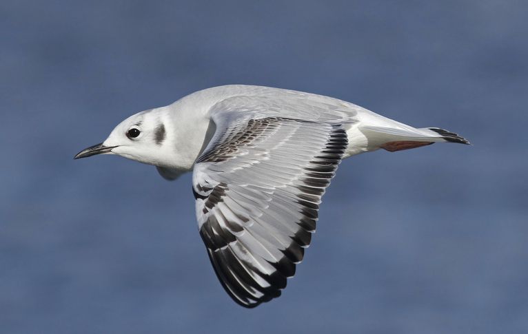 Screenshot 2015-11-12 19.04.28