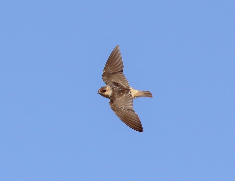 Screenshot 2015-11-19 23.24.17