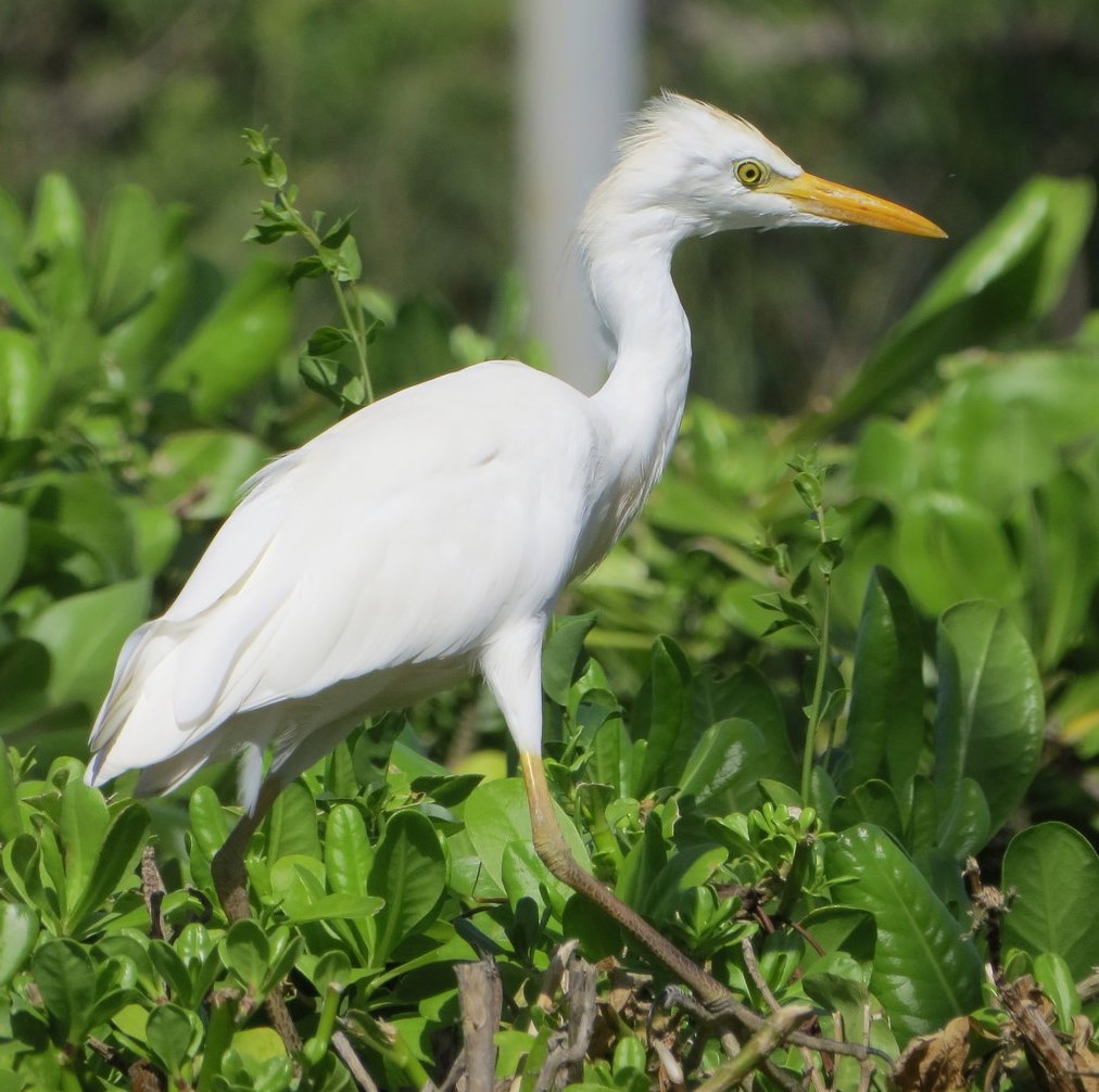 Screenshot 2016-03-11 10.31.16