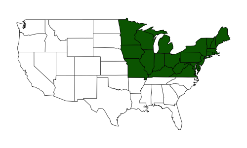 BirdCast Upper Midwest and Northeast Region