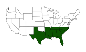 BirdCast Upper Southeast Region