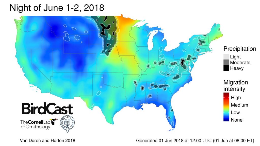 BirdCast Forecast Map